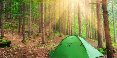 Wildkamperen: vrij kamperen in het wild