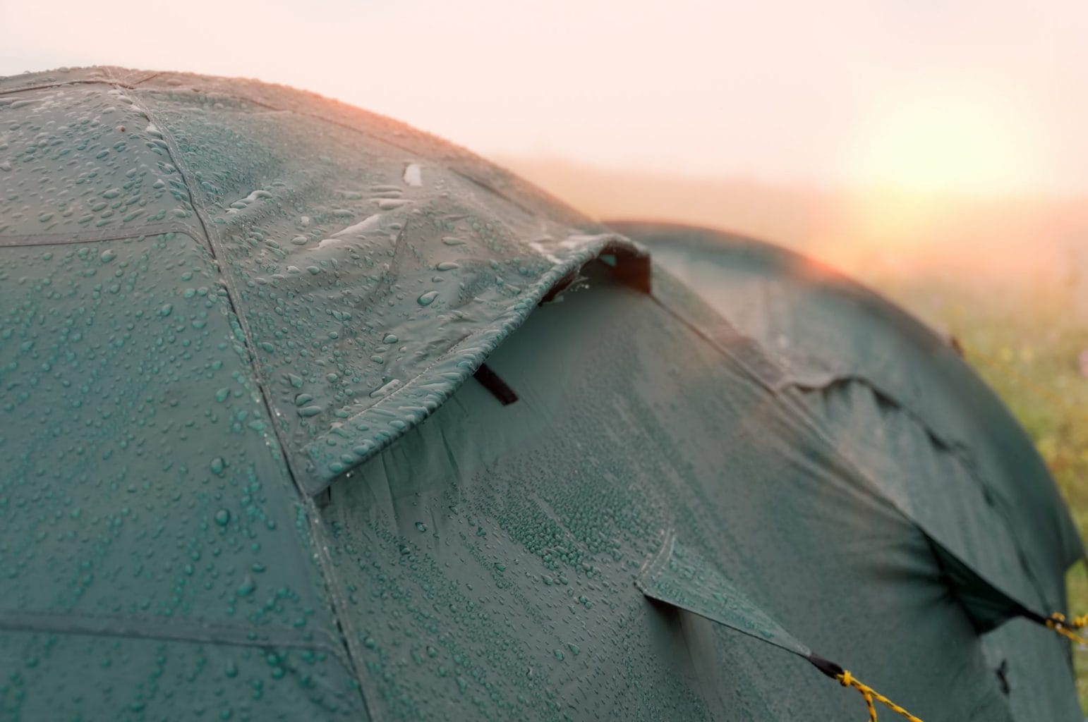 Ochtenddauw op een tent