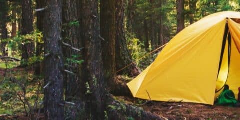6 tips voor het schoonmaken van je tent
