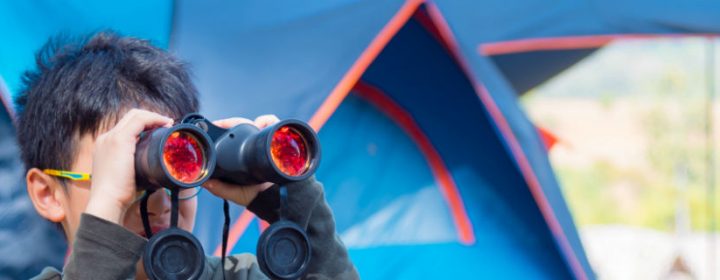 Vogels spotten voor de tent