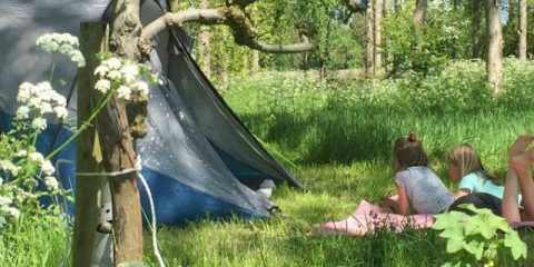 5 unieke campings in Nederland