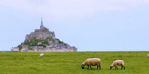 Een parel in Noord-Frankrijk: Le Mont-Saint-Michel