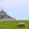 Een parel in Noord-Frankrijk: Le Mont-Saint-Michel