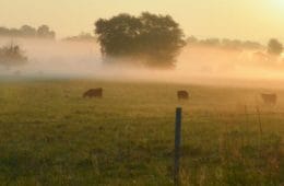 Boerderijcamping