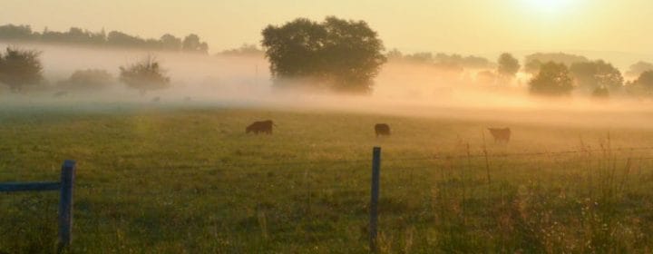 Boerderijcamping