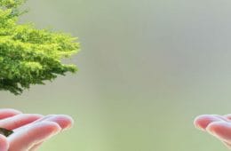 milieuvriendelijk kamperen