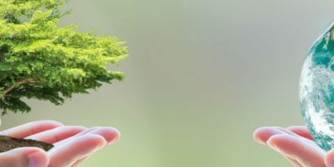 Een groene vakantie – 5 tips voor duurzaam kamperen
