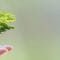 Een groene vakantie – 5 tips voor duurzaam kamperen