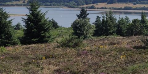 Genieten van de natuur en de rust in de Haut-Languedoc