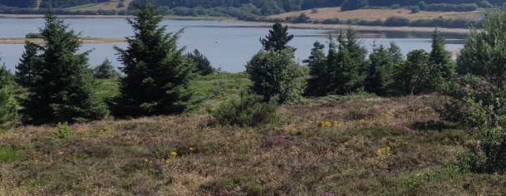 Uitzicht over een meer blak bij Lacaune