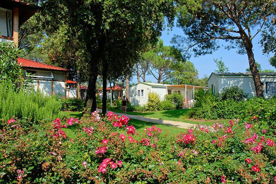 Au Jesolo International Club Camping, vous campez avec une empreinte carbone neutre