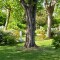 Verschil ACSI-camping en CampingCard ACSI-camping