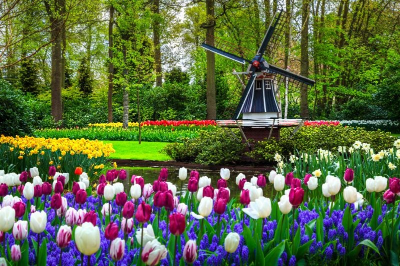 De kleurrijke Keukenhof in volle glorie.