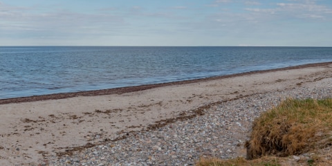 Op vakantie via het internet met de leukste natuurwebcams in Europa