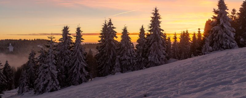 Das Feldberger Winterparadies – die Aussicht ist hier zu jeder Jahreszeit spektakulär.