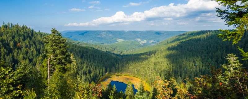 Wunderschöne Natur soweit das Auge reicht.