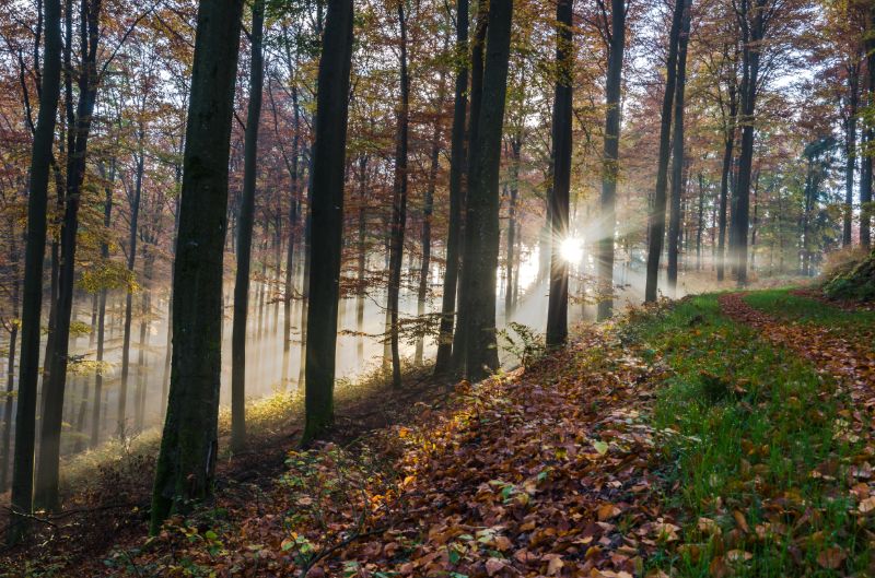 Wandelen Sauerland