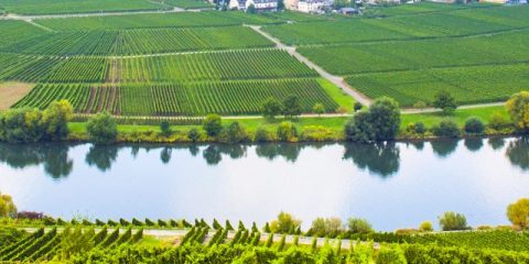 Kamperen aan de rivier: de mooiste campings van Duitsland