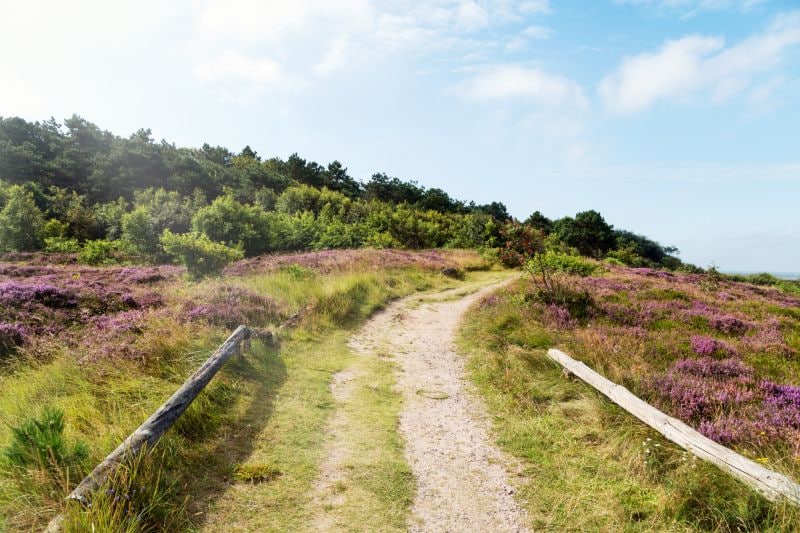 5 mooie plekjes aan de kust in Duitsland en Nederland 