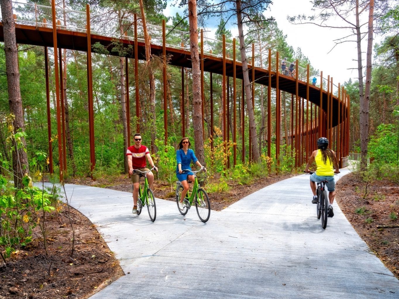 Cycling through the trees in Belgium