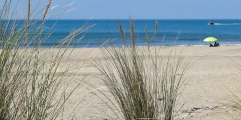 De 7 mooiste stranden van Zeeland