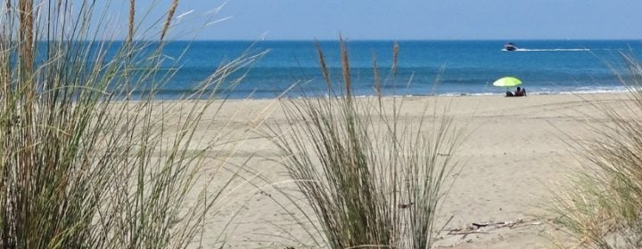 Stranden van Zeeland