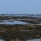 Wad mooi: wadlopen vanaf de camping