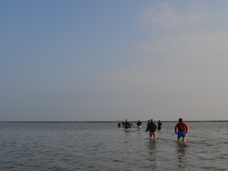 Wadlopen