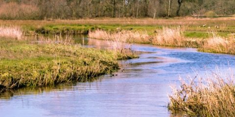 Op vakantie in het noorden van Nederland – Guido’s tips