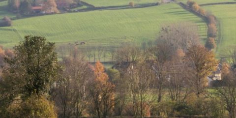 Genieten tussen de heuvels: de populairste campings van Limburg