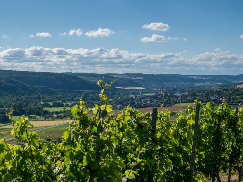 Het Beierse landschap wekt de romantiek tot leven. Geniet bijvoorbeeld van deze wijngaarden in het Taubertal en van de mooie dorpjes aan de Main.