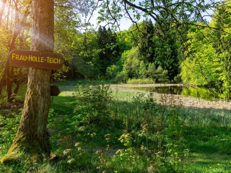 De Frau-Hollevijver ligt in het natuurgebied Hoher Meißner. Het is een van de gebieden waar de gebroeders Grimm inspiratie voor de beroemde sprookjes vonden.