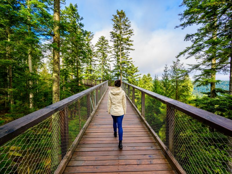 Geen last van hoogtevrees? Maak dan een wandeling op grote hoogte tussen de boomtoppen van het Zwarte Woud. Geen last van hoogtevrees? Maak dan een wandeling op grote hoogte tussen de boomtoppen van het Zwarte Woud.