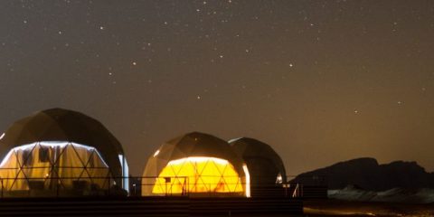 Origineel overnachten op de camping: van boomhut tot wijnvat