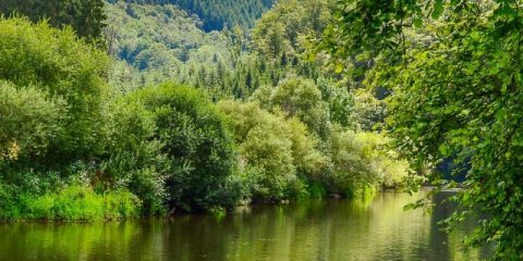 De 10 populairste campings van de Ardennen
