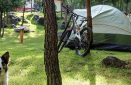 Gespecialiseerde campings