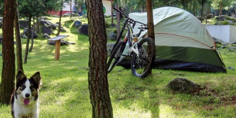 Europeanen zijn vroeg met boeken zomervakantie