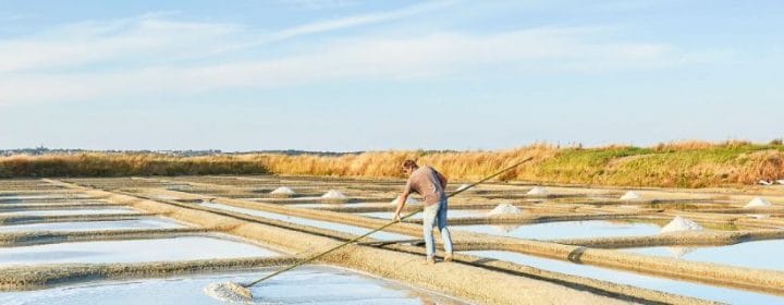 Marais salants de Guérande