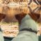 Alles wat je wilt weten over kamperen met de hond