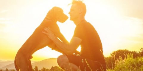 Wat doe je met je huisdieren op vakantie?