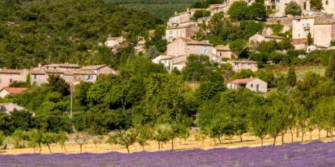 De smaak van de zonnige Provence