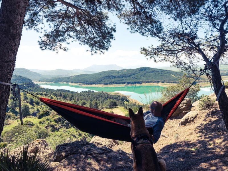 Der perfekte Campingplatz für Hundebesitzer