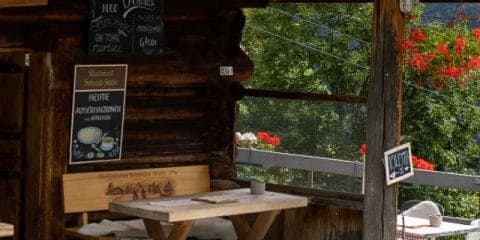 Berner Oberland 3-3: levensgenieters in smulparadijs Sulwald in de Jungfrau-regio