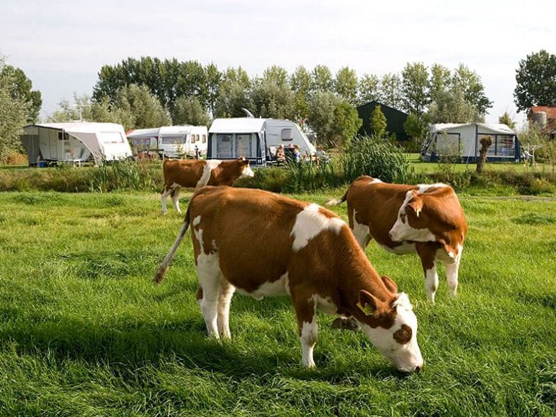 Kamperen bij de boer met Hemelvaart