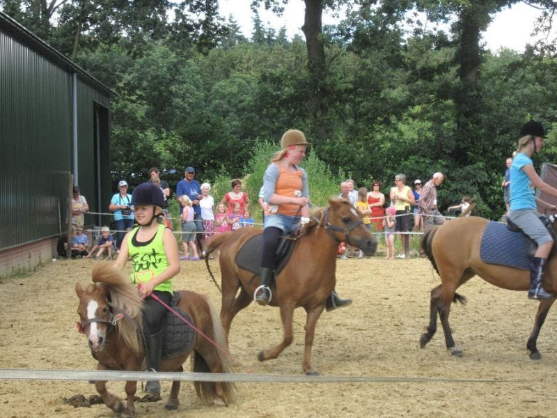 Camping met ponyrijden