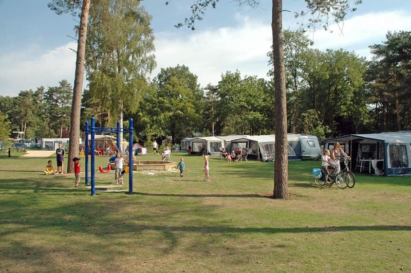 Ardoer Camping De Heldense Bossen in Helden Limburg