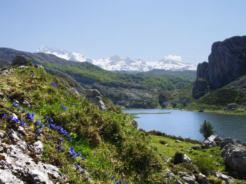 Gletsjermeer Lagos de Covadonga in Asturië