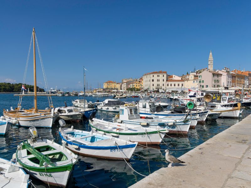 De sfeervolle haven van Rovinj