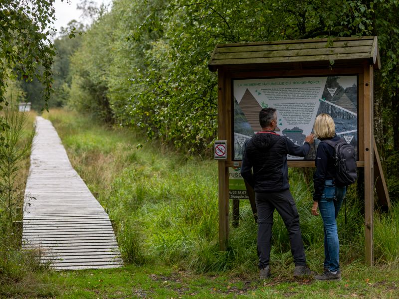 Wandelen in de Ardennen