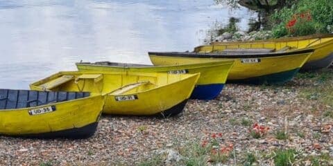 Vakantie in Albanië: kamperen in de natuur